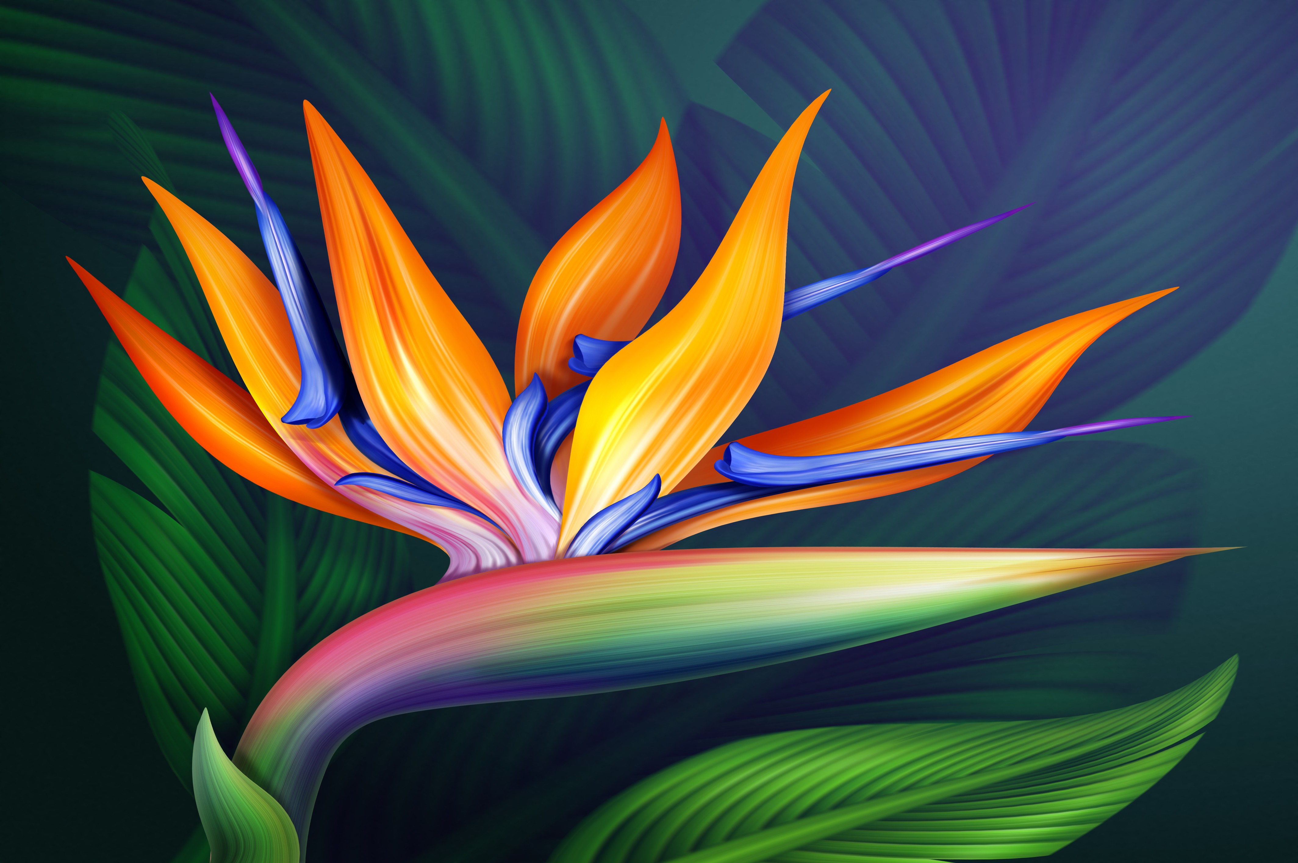 AdobeStock_70028661resize.jpeg